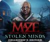Maze: Stolen Minds Collector's Edition 游戏