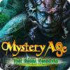 Mystery Age: The Dark Priests 游戏