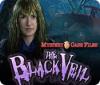 Mystery Case Files: The Black Veil 游戏