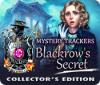 Mystery Trackers: Blackrow's Secret Collector's Edition 游戏