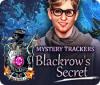 Mystery Trackers: Blackrow's Secret 游戏
