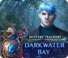 Mystery Trackers: Darkwater Bay 游戏