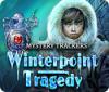 Mystery Trackers: Winterpoint Tragedy 游戏