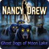 Nancy Drew: Ghost Dogs of Moon Lake 游戏