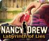 Nancy Drew: Labyrinth of Lies 游戏