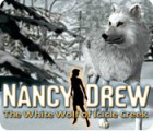 Nancy Drew: The White Wolf of Icicle Creek 游戏