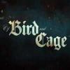 Of bird and cage 游戏