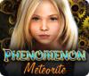 Phenomenon: Meteorite 游戏