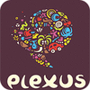 Plexus Puzzles: Rebuild the Earth 游戏