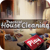 Practical House Cleaning 游戏