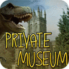 Private Museum 游戏