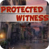 Protect Witness 游戏