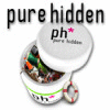 Pure Hidden 游戏