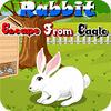 Rabbit Escape From Eagle 游戏