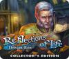 Reflections of Life: Dream Box Collector's Edition 游戏