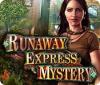 Runaway Express Mystery 游戏