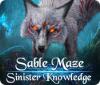 Sable Maze: Sinister Knowledge Collector's Edition 游戏