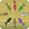 Shark Hunter 游戏
