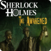 Sherlock Holmes: The Awakened 游戏
