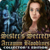 Sister's Secrecy: Arcanum Bloodlines Collector's Edition 游戏