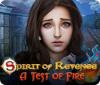 Spirit of Revenge: A Test of Fire 游戏