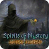 Spirits of Mystery: Amber Maiden Collector's Edition 游戏