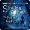 Strange Cases: The Secrets of Grey Mist Lake Collector's Edition 游戏