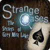 Strange Cases: The Secrets of Grey Mist Lake 游戏