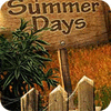 Summer Days 游戏
