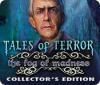 Tales of Terror: The Fog of Madness Collector's Edition 游戏