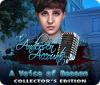 The Andersen Accounts: A Voice of Reason Collector's Edition 游戏
