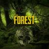 The Forest 游戏