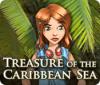 Treasure of the Caribbean Seas 游戏