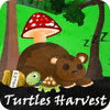 Turtles Harvest 游戏