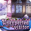 Unexpected Visitor 游戏