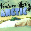 Venture Arctic 游戏