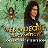 Web of Deceit: Black Widow Collector's Edition 游戏