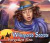 Whispered Secrets: Forgotten Sins 游戏