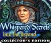 Whispered Secrets: Into the Beyond Collector's Edition 游戏