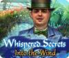 Whispered Secrets: Into the Wind 游戏
