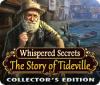 Whispered Secrets: The Story of Tideville Collector's Edition 游戏