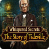 Whispered Secrets: The Story of Tideville 游戏