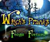 Witch's Pranks: Frog's Fortune 游戏