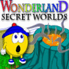 Wonderland Secret Worlds 游戏