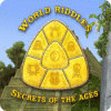 World Riddles: Secrets of the Ages 游戏
